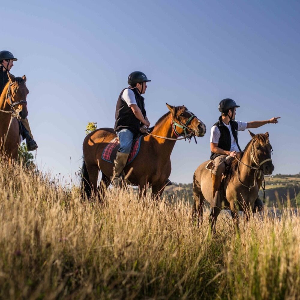 Tierra Chiloe horse riding excursion