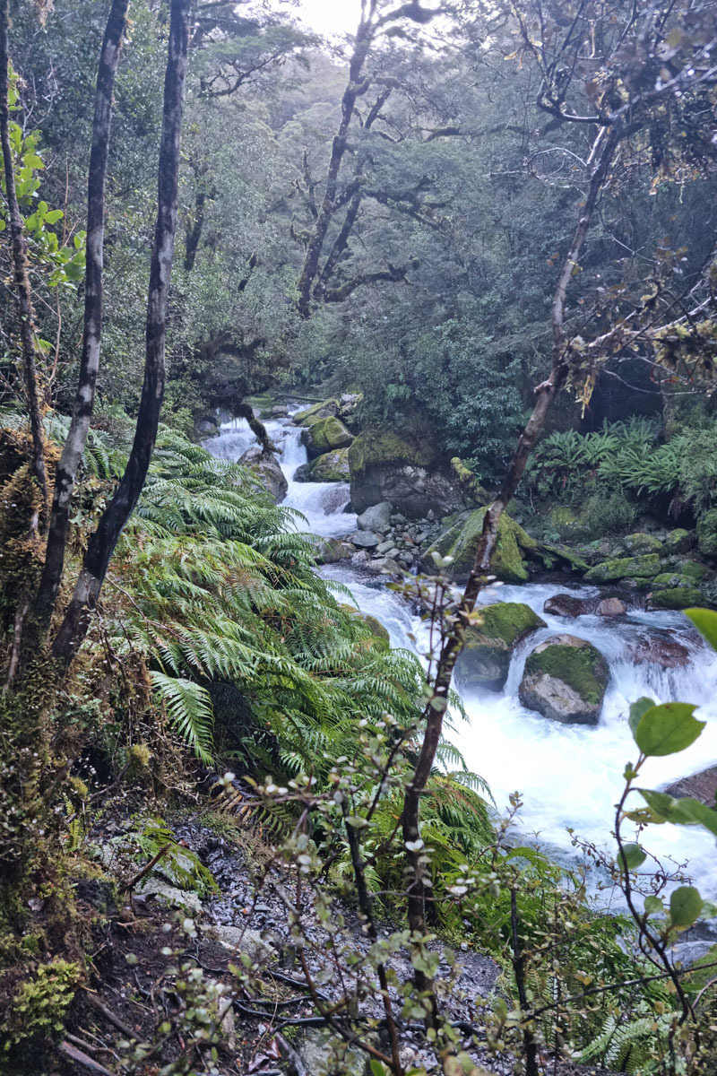 Marian Falls Trail