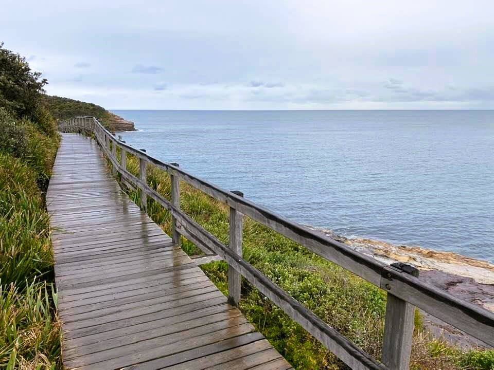 Bouddi Coastal Walk-1