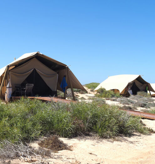 Sal Salis Ningaloo Luxury Safari Tents 5