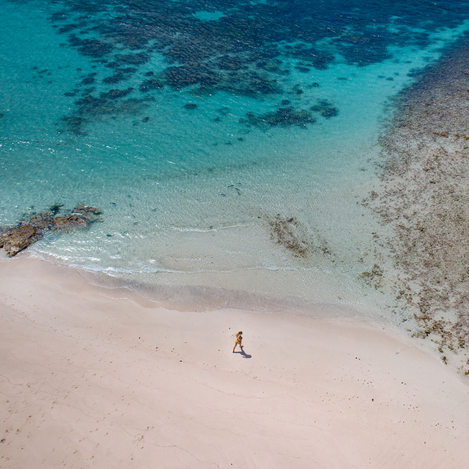 Capella Lodge Lord Howe Island Aerial Beach