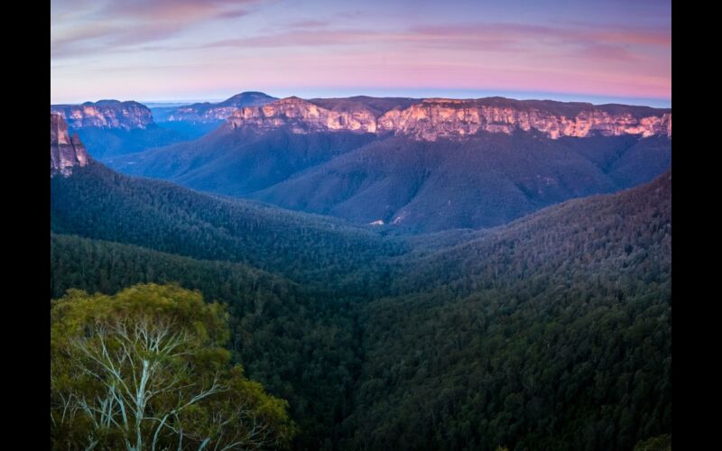 Mt Banks hike