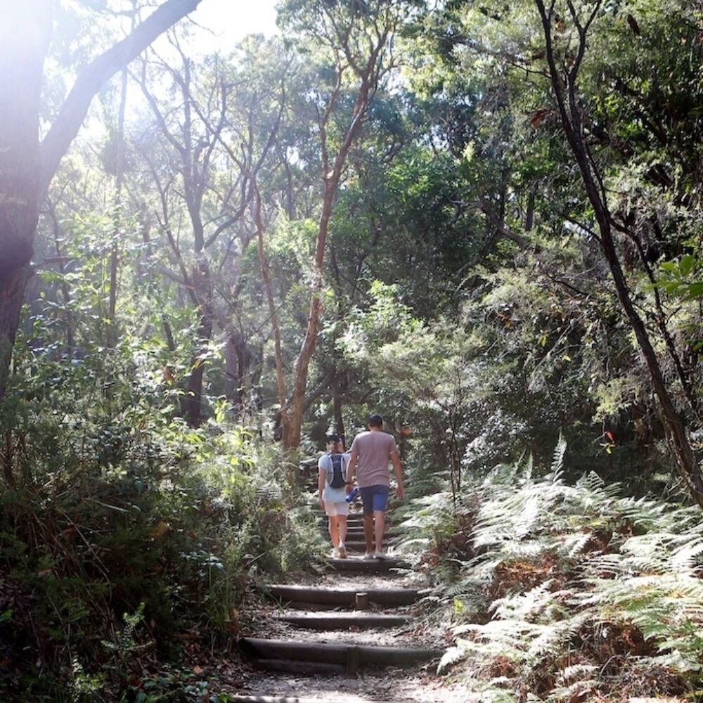 Bouddi Coastal Walk