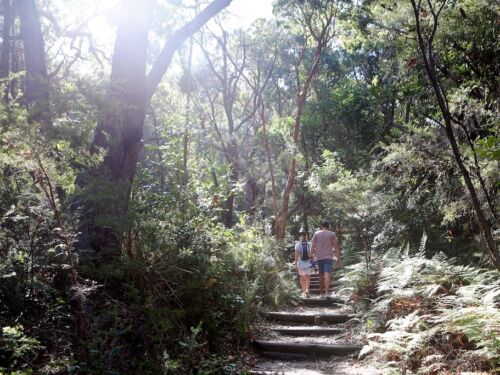 Bouddi Coastal Walk