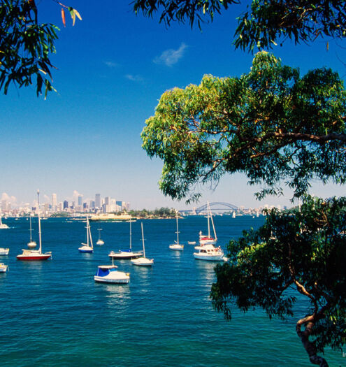 Sydney Harbour Foreshore Watsons Bay TA