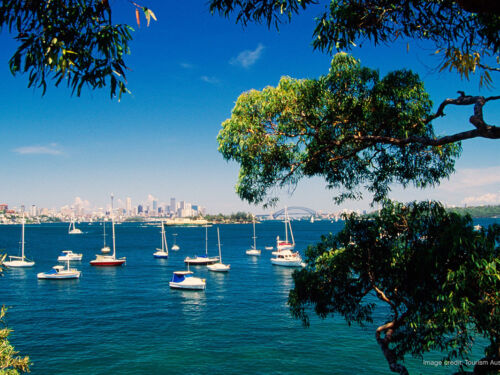 Sydney Harbour Foreshore Watsons Bay TA