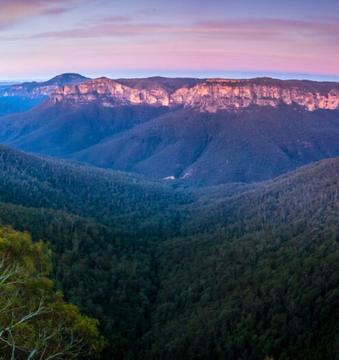 Mt Banks hike