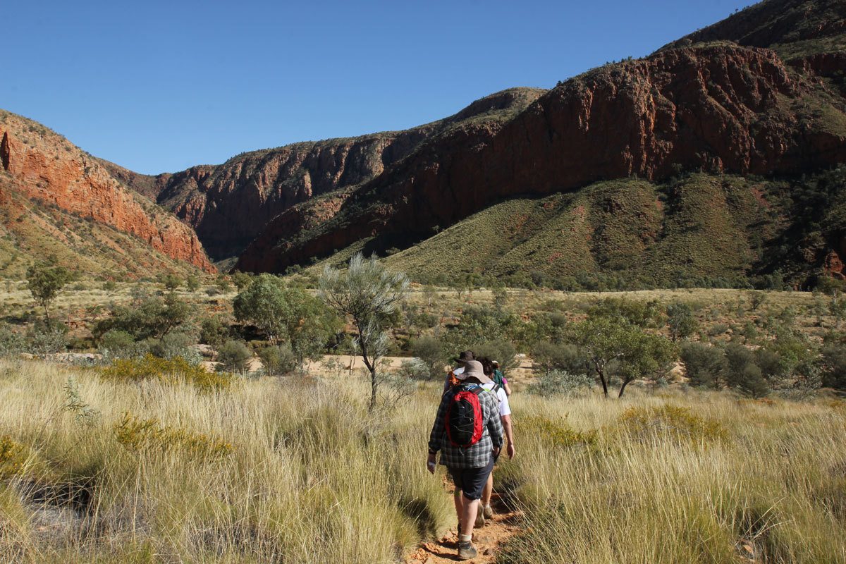 Luxury Walking Tours - Larapinta Walk