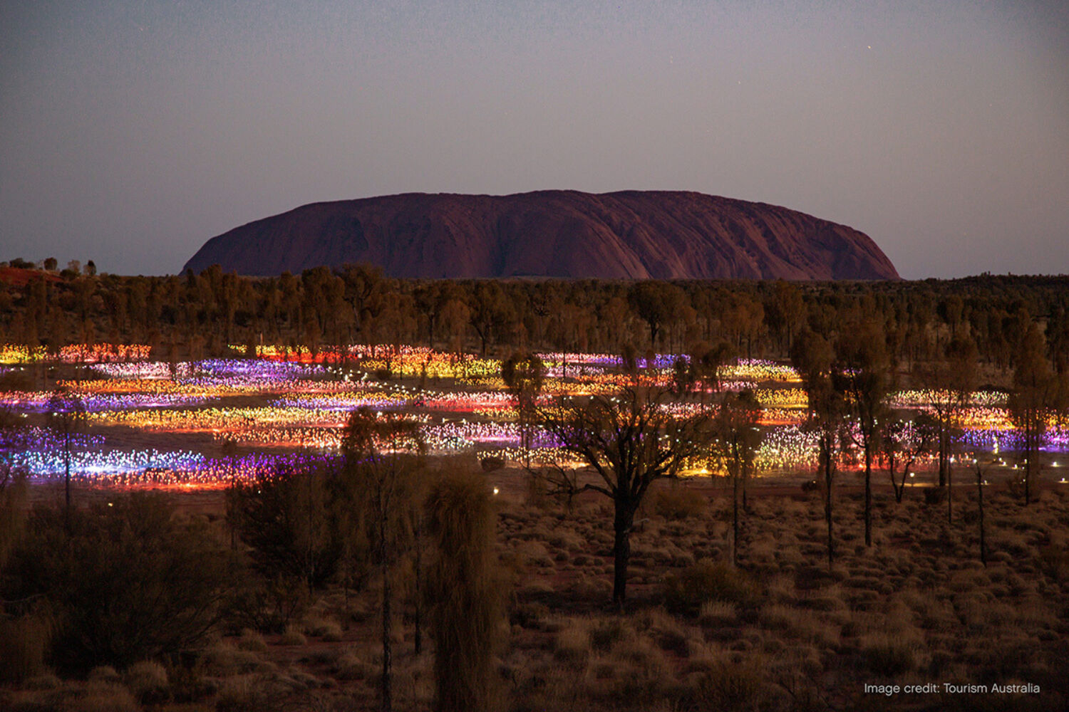 Kuniya Walk Uluru Kata Tjuta Field of Lights TA