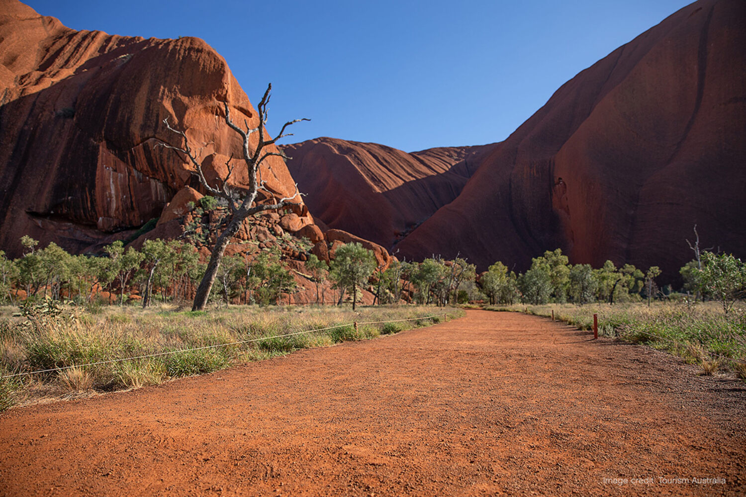 Uluru Kata Tjuta National Park Yulara TA