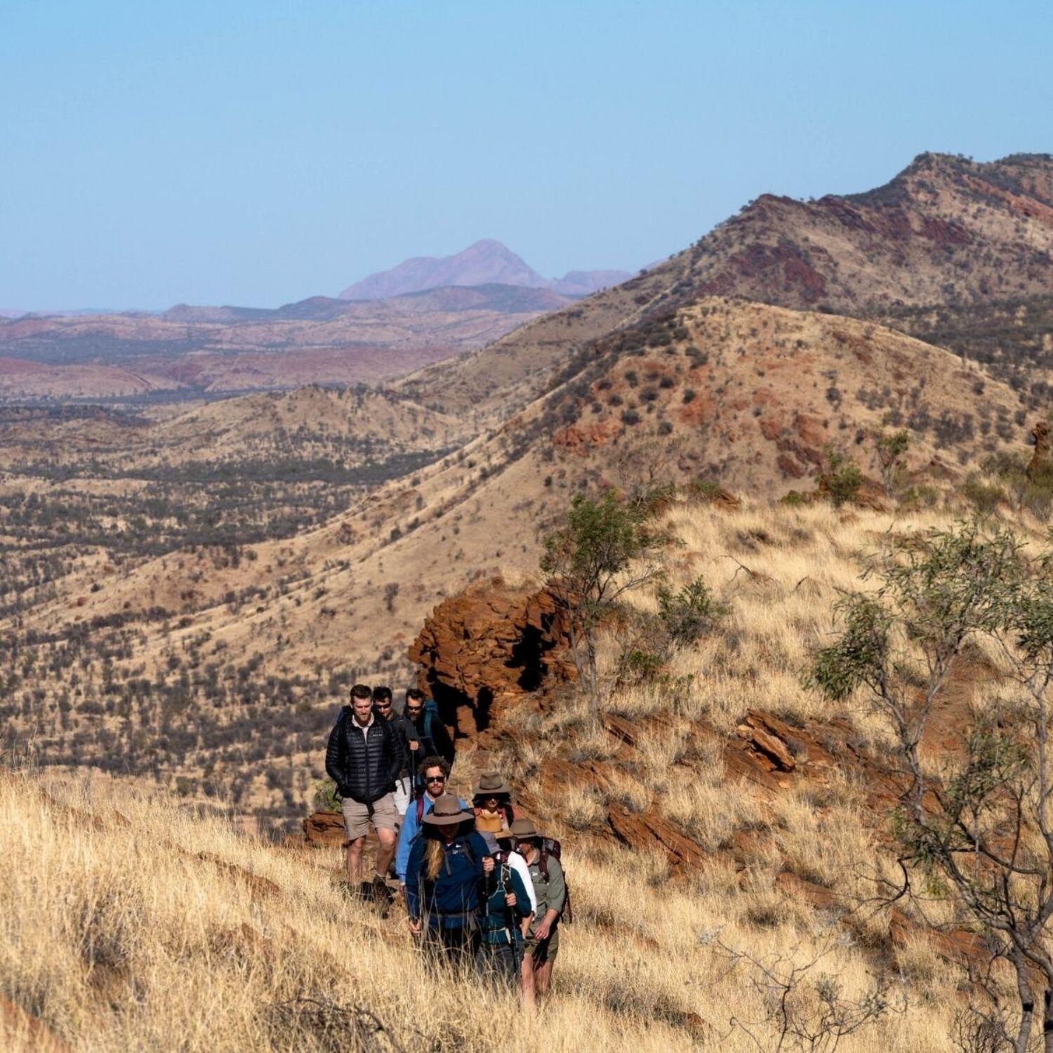 Larapinta Walking Tours