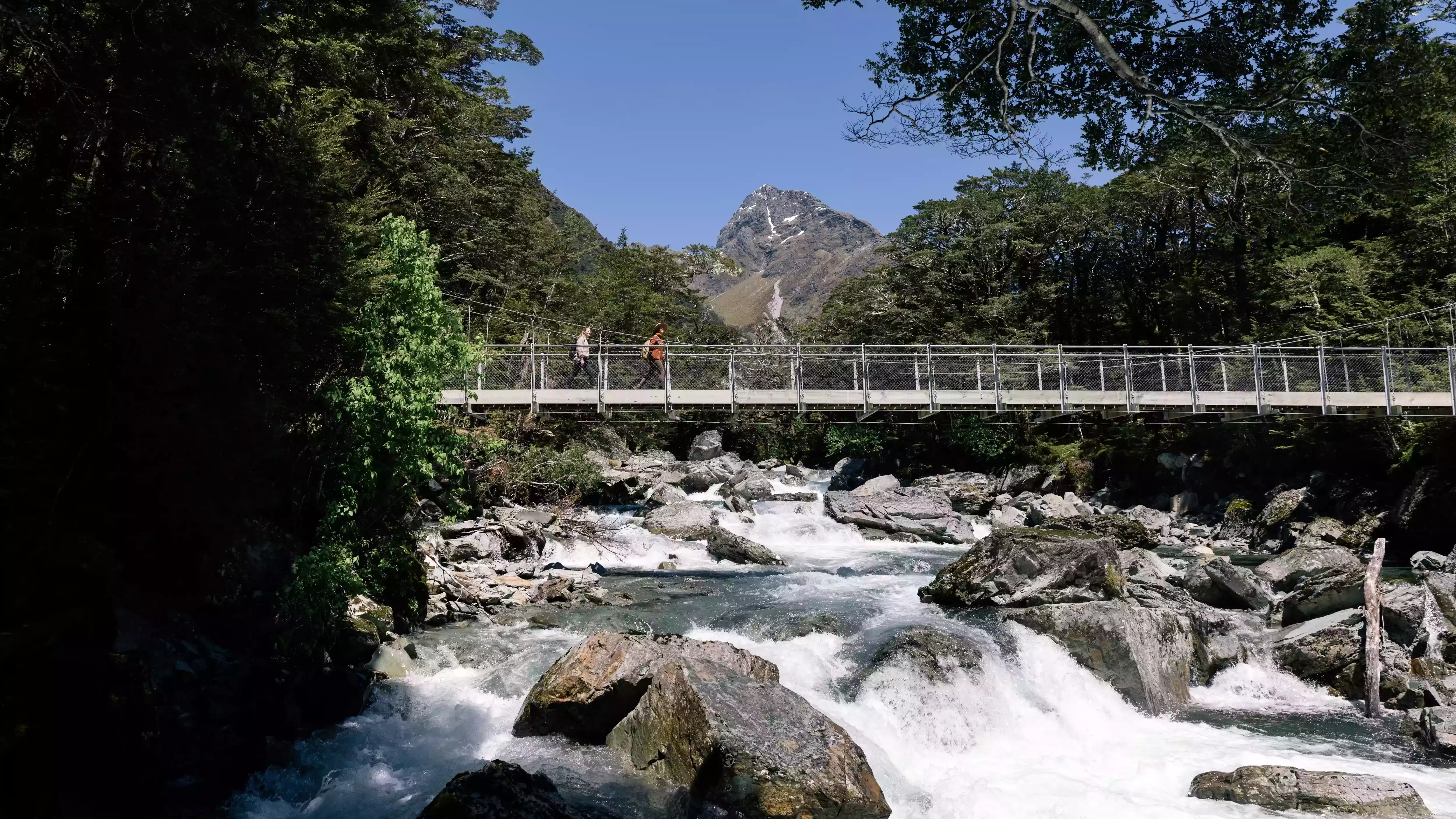 Routeburn Track Hike in Luxury