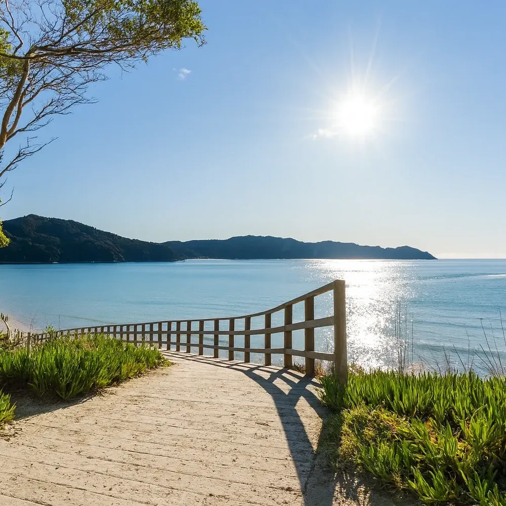 Awaroa Bay Beach Path Wi L