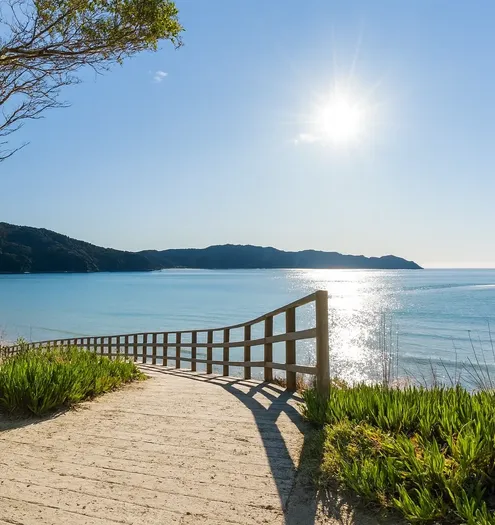 Awaroa Bay Beach Path Wi L