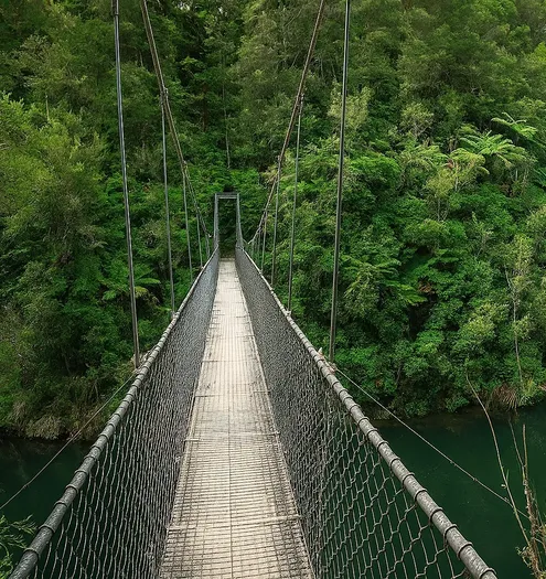 Swing Bridge Abel Tasman Coast Track Wi L