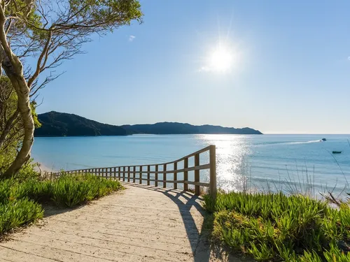Awaroa Bay Beach Path Wi L