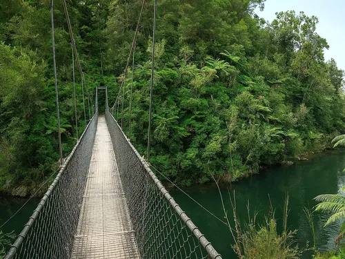 Swing Bridge Abel Tasman Coast Track Wi L