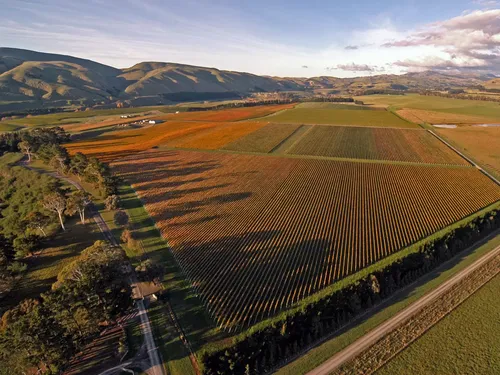 Hawkes Bay Winery Tour-Craggy Range