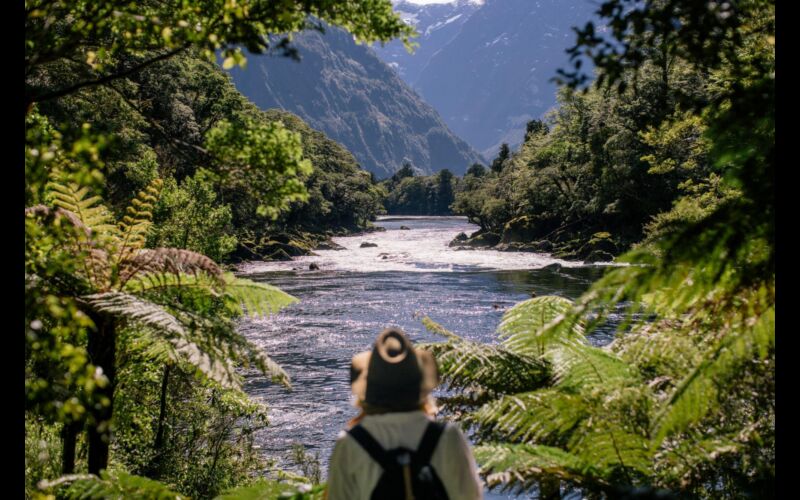 Walk into Luxury Milford Track Arthur River