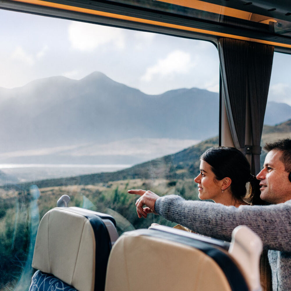 TranzAlpine couple admiring view out the window