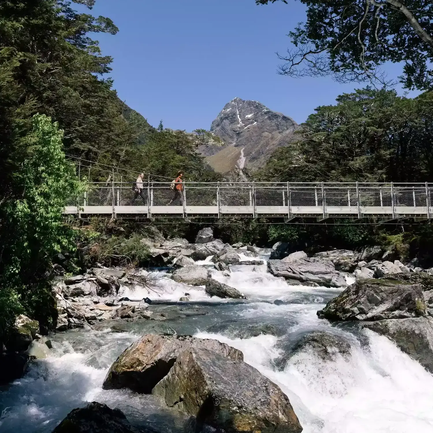 Walk Into Luxury Routeburn swing bridge 16