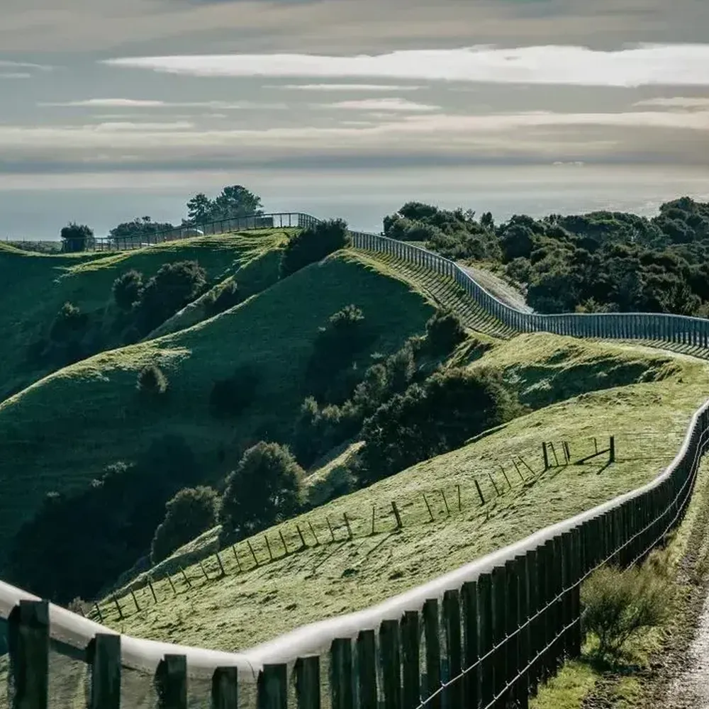 Cape Kidnappers Rosewood