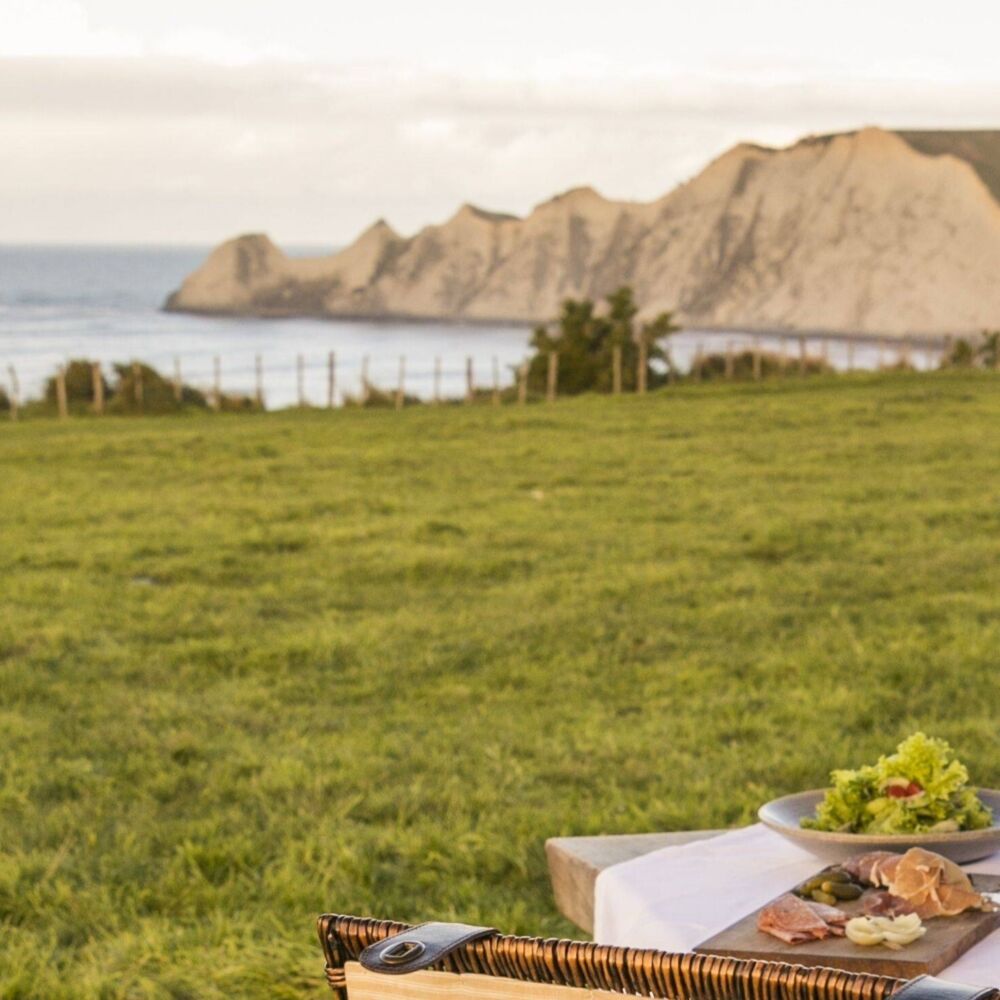 Cape kidnappers picnic