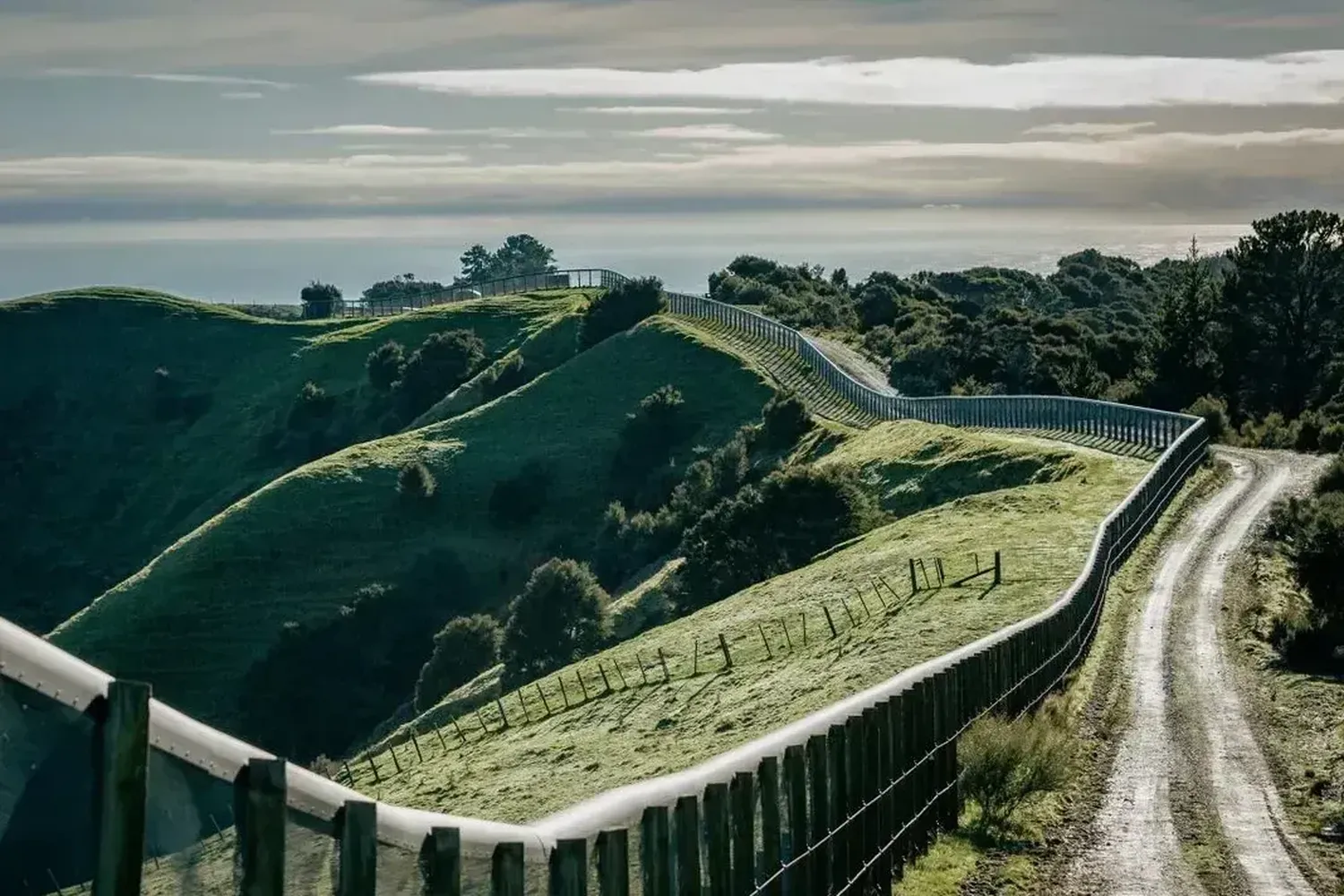 Cape Kidnappers Rosewood