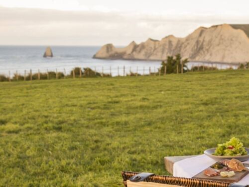 Cape kidnappers picnic