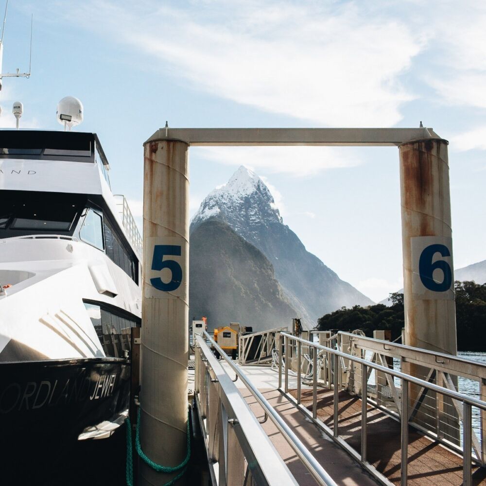 Fiordland Jewel cr Tiny Atlas E9 A4211