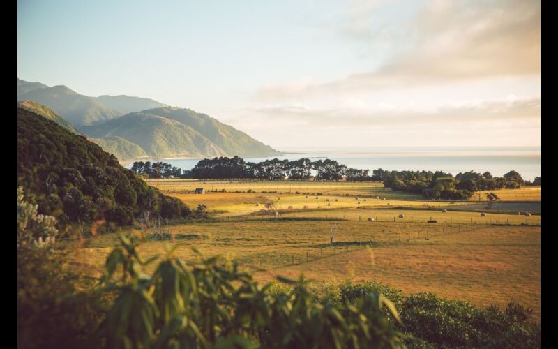 Hapuku Lodge Farm Surrounds