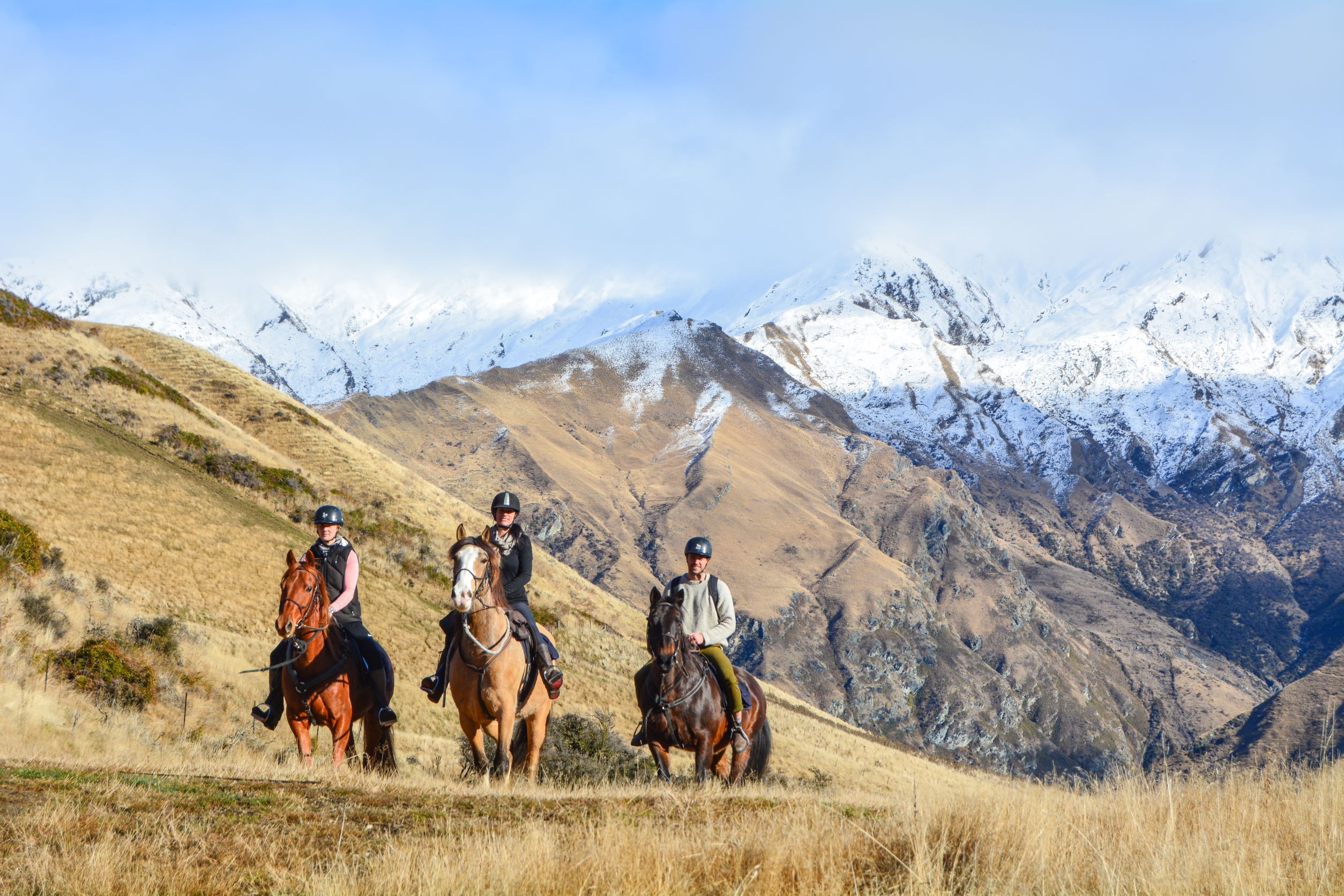 Private Group Travel Horse Riding at Mahu Whenua, Wanaka, New Zealand
