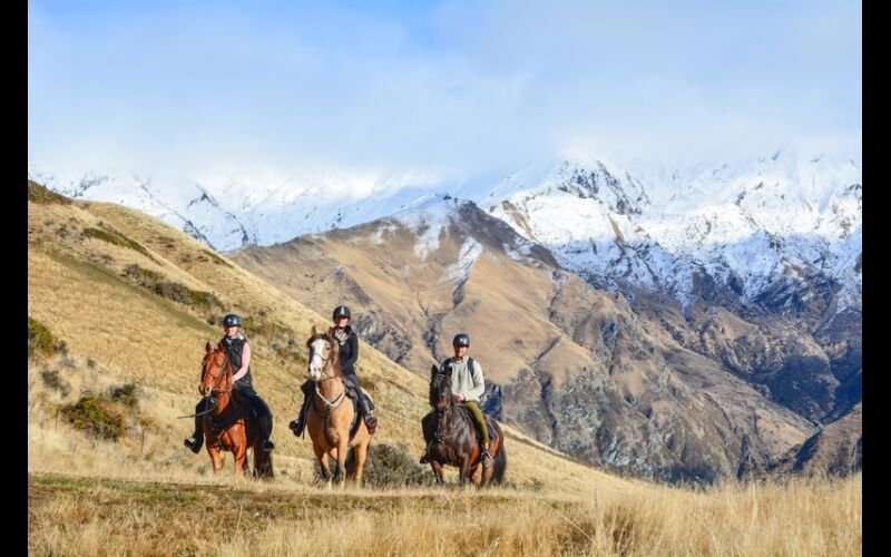 Horse ruding Mahu Whenua DSC 0535