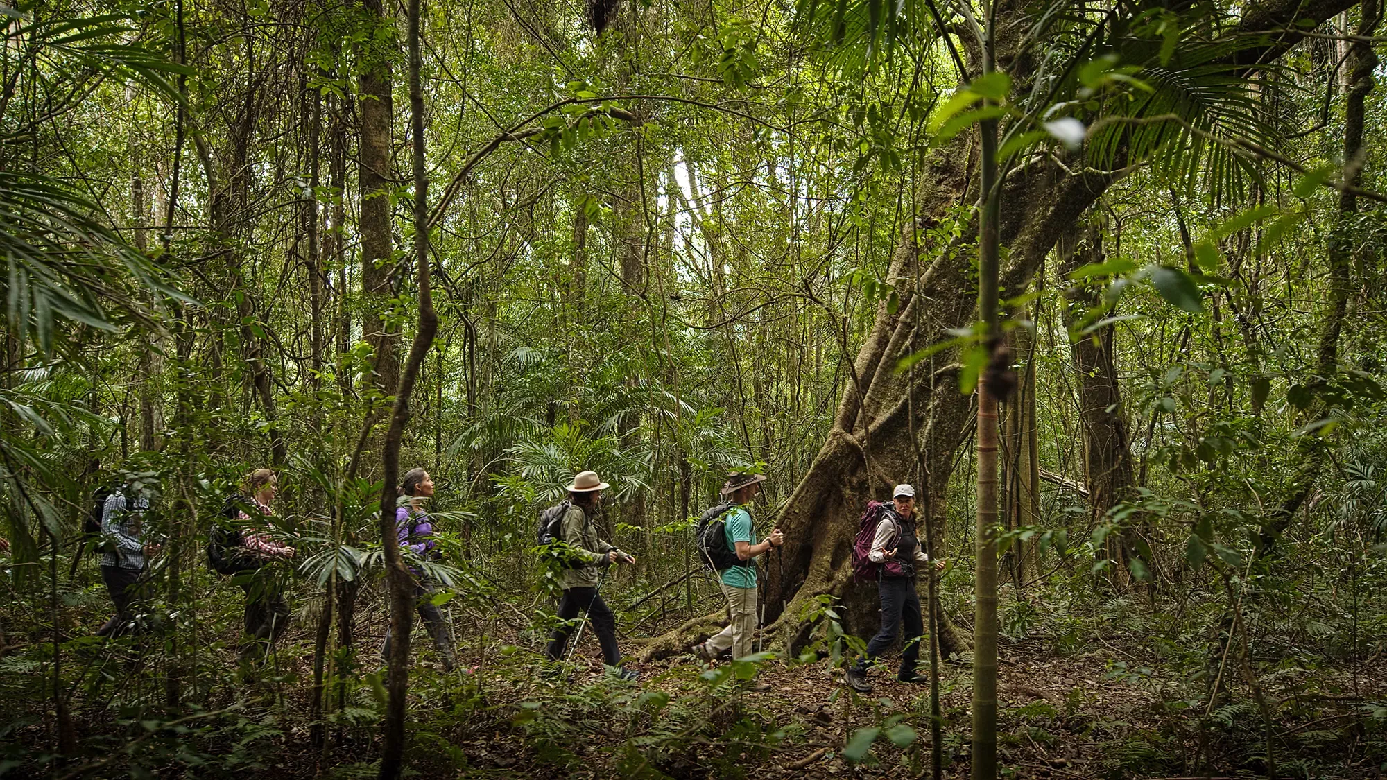 Scenic Rim Walk - Best Luxury Hikes in Australia and New Zealand