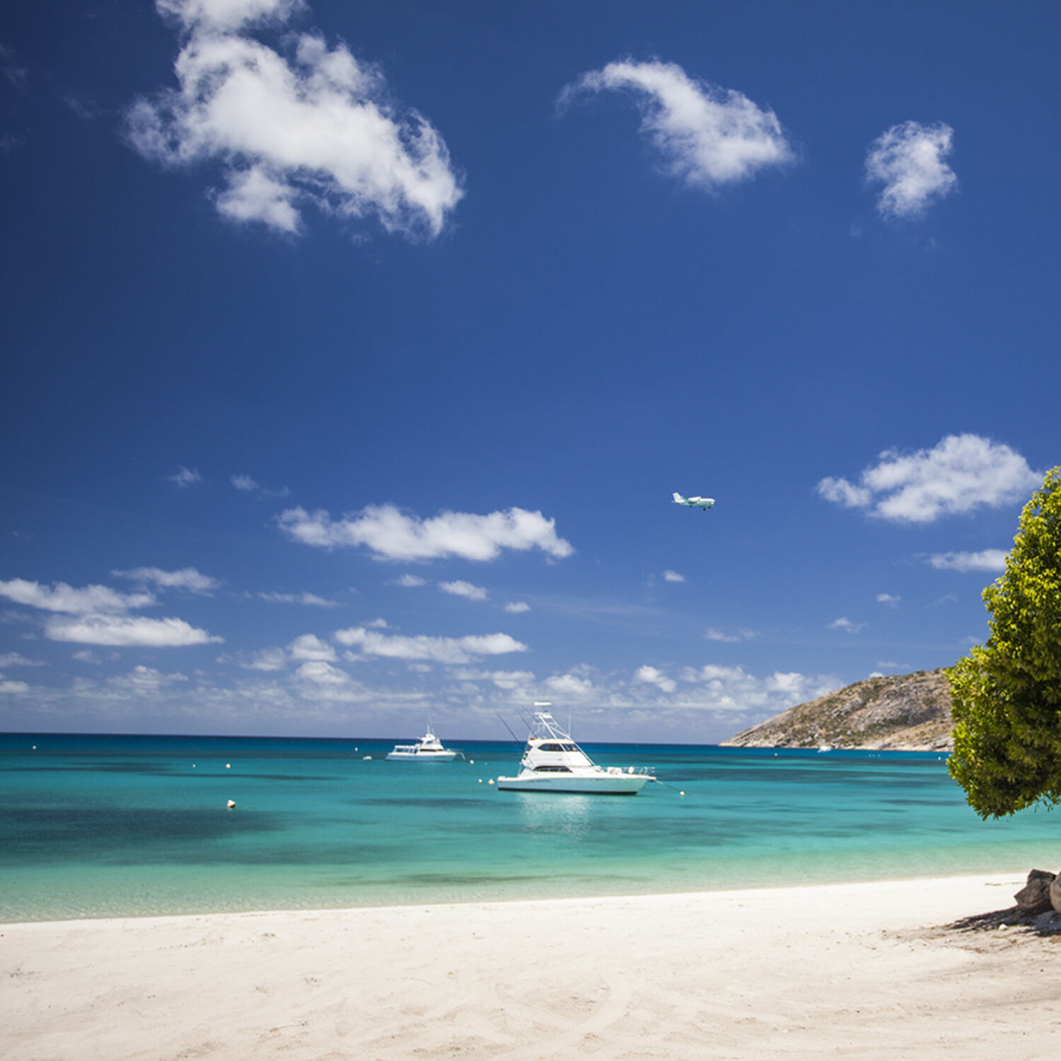 Lizard Island Great Barrier Reef Beach Boats