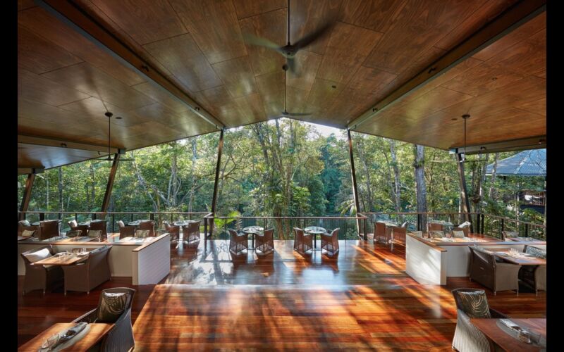 Silky Oaks Lodge Treehouse Views