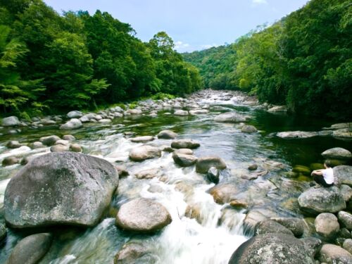 Silky Oaks Lodge The Daintree River