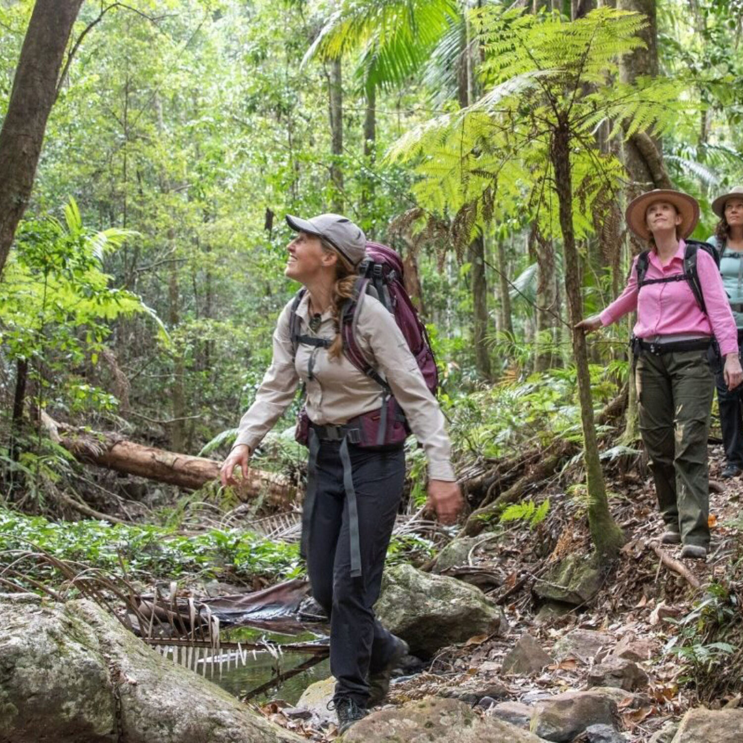 Scenic Rim Walkers