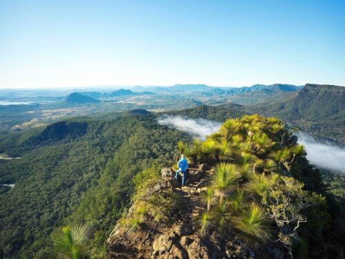 Spicers Peak Lodge aerial hike