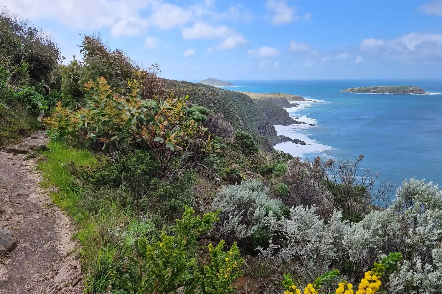 Waitpinga Cliffs Fleurieu Peninsula NK HERO