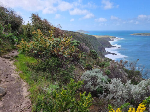 Waitpinga Cliffs Fleurieu Peninsula NK