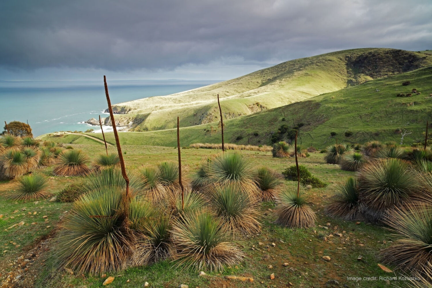 Blowhole Creek Fleurieu Peninsula