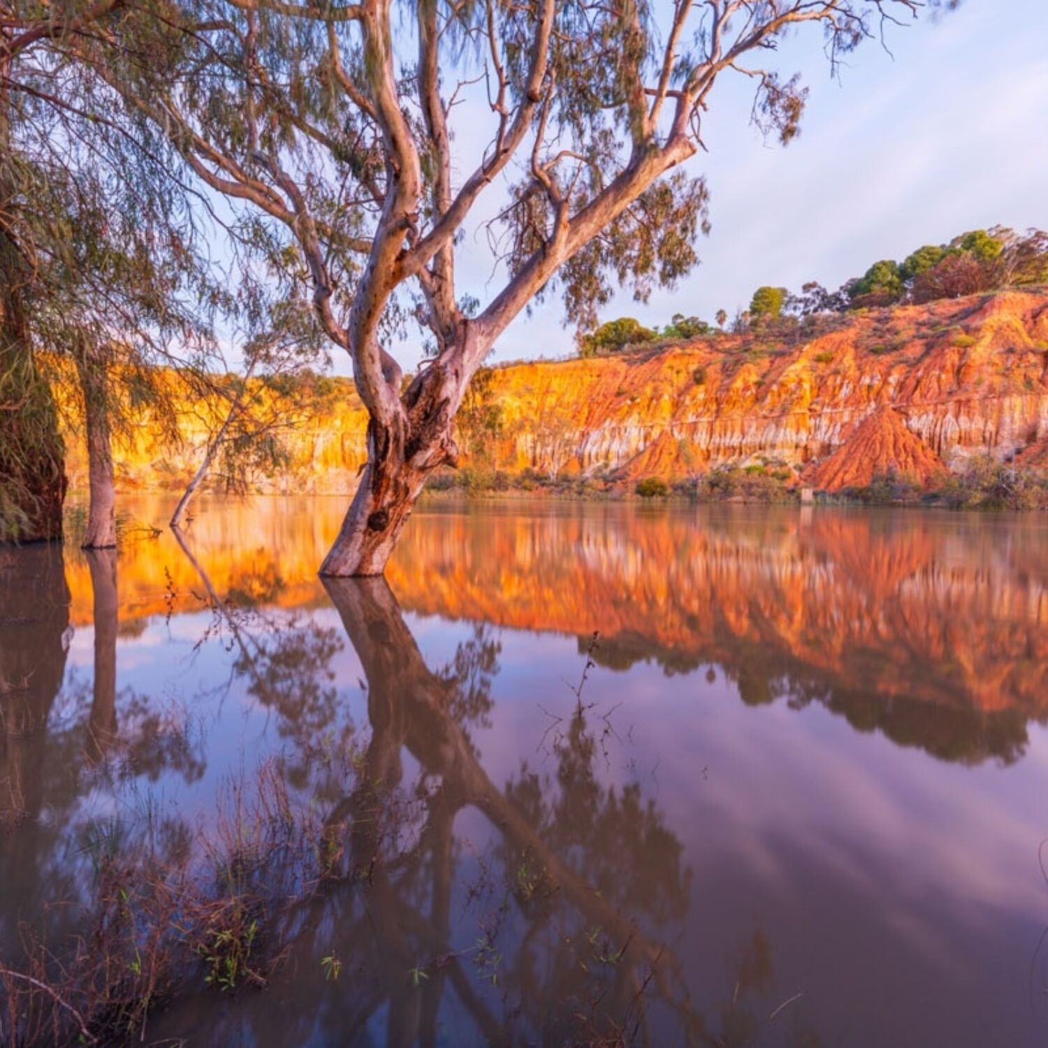 Best of Australia's Outback Murray River Walk by Luke Tscharke