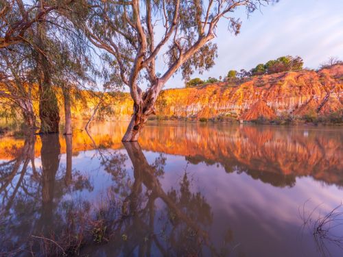 Best of Australia's Outback Murray River Walk by Luke Tscharke