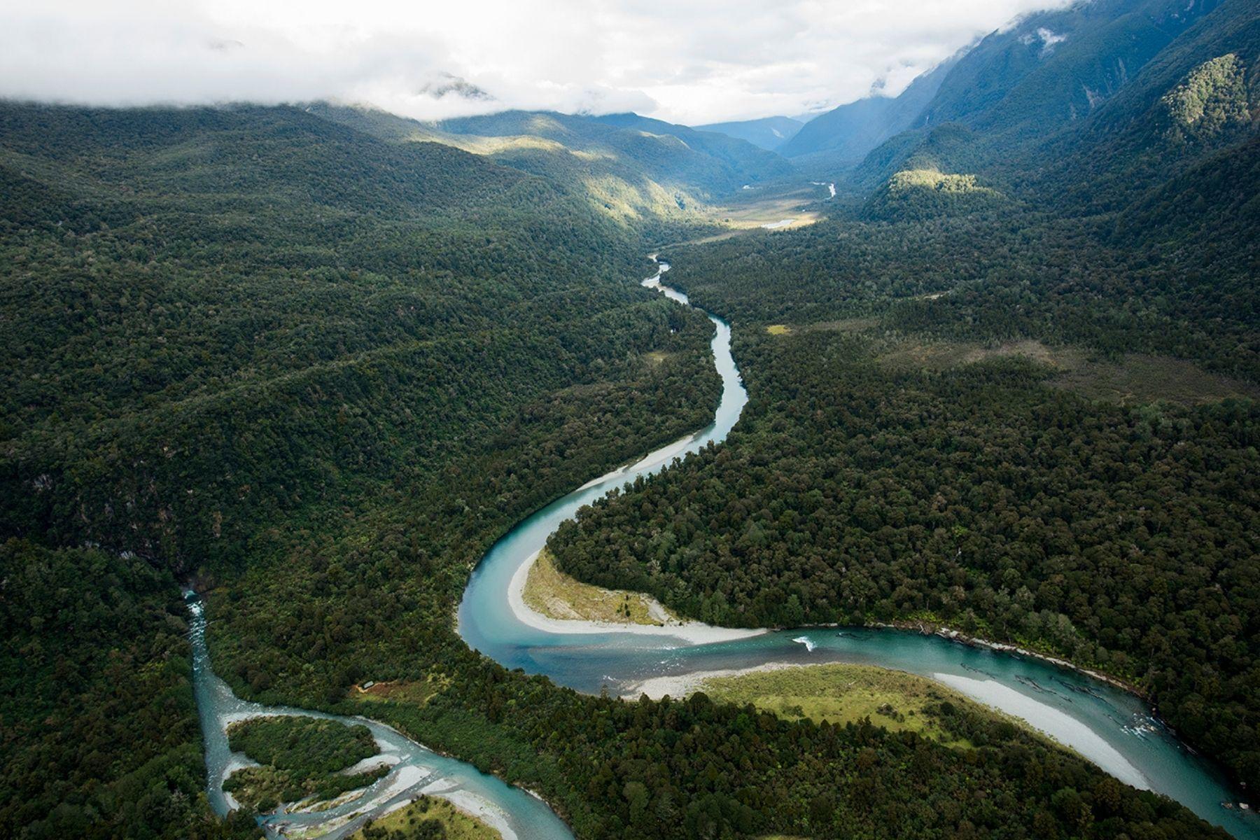 4 Day Hollyford Track Walk, Fiordland National Park