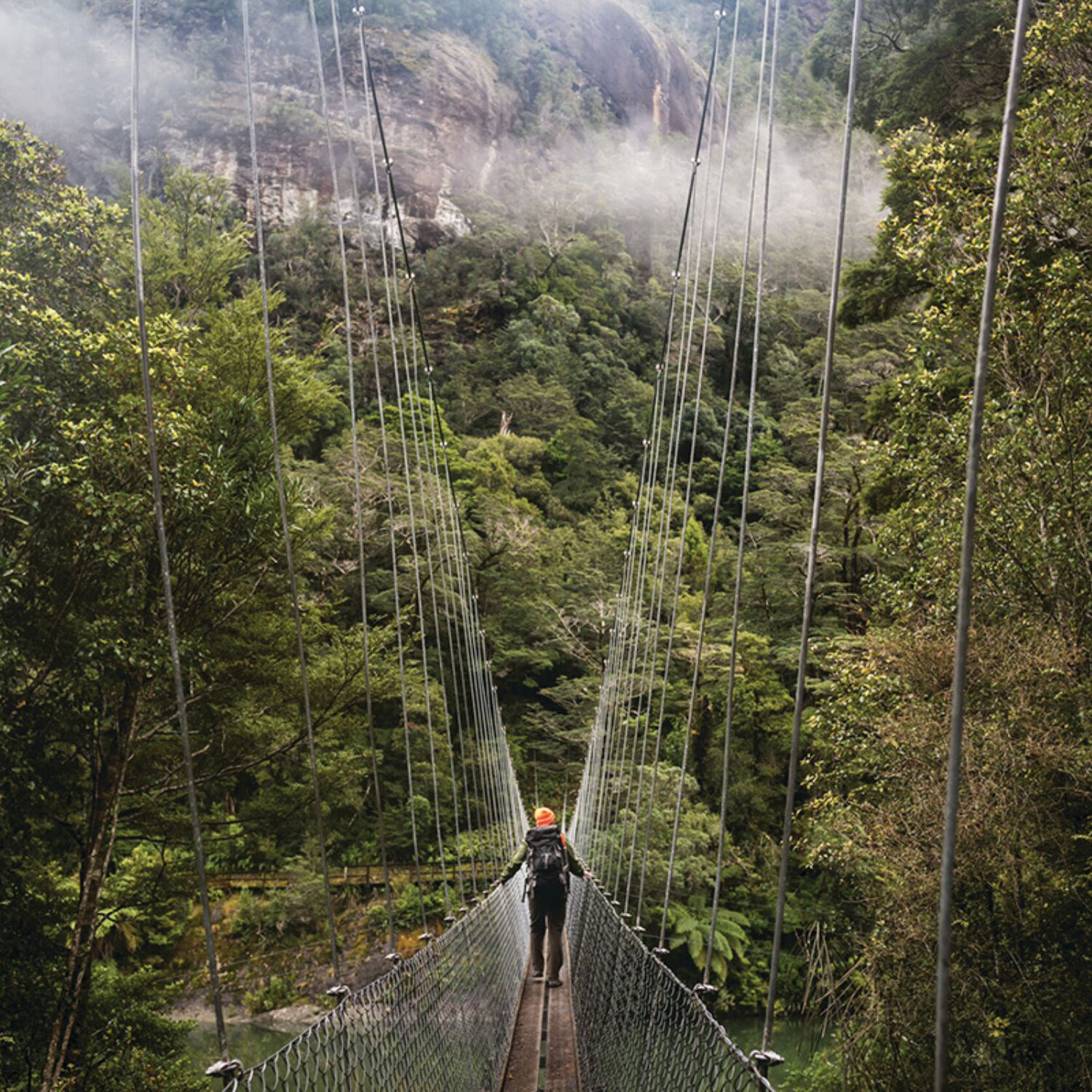 Hollyford Walk Bridge