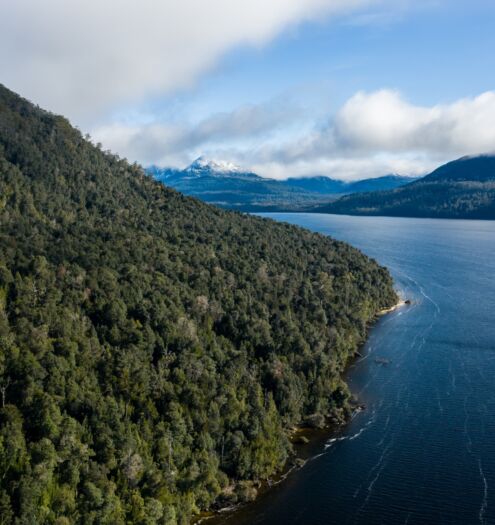 Walkinto Luxury Lake St Clair DJI 0046 Natasha Mulhall