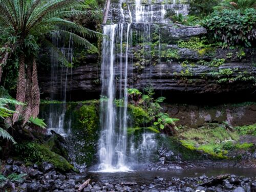 Walk into Luxury Mount Field Russell Falls