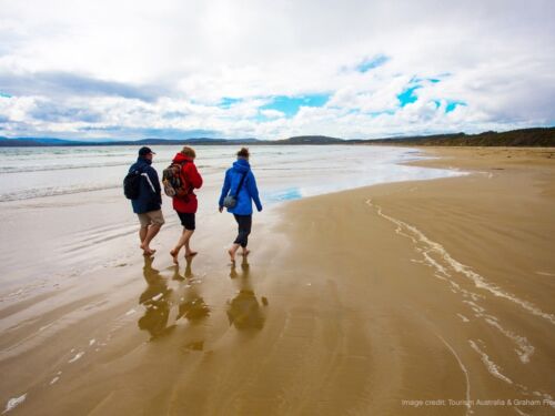 Bruny Island Long Weekend beach walkers