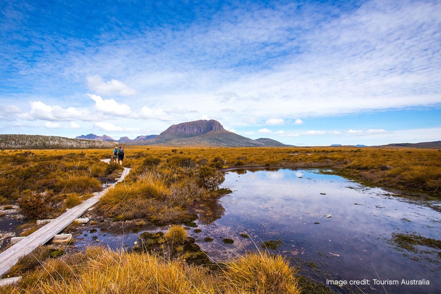 Cradle Mountain Huts Walk Pelion TA